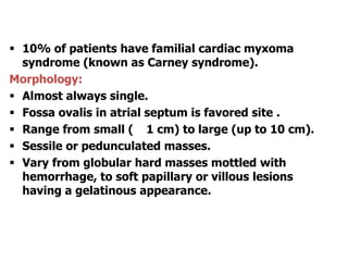  10% of patients have familial cardiac myxoma
syndrome (known as Carney syndrome).
Morphology:
 Almost always single.
 Fossa ovalis in atrial septum is favored site .
 Range from small ( 1 cm) to large (up to 10 cm).
 Sessile or pedunculated masses.
 Vary from globular hard masses mottled with
hemorrhage, to soft papillary or villous lesions
having a gelatinous appearance.
 