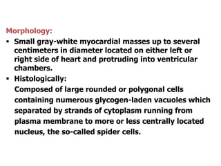 Morphology:
 Small gray-white myocardial masses up to several
centimeters in diameter located on either left or
right side of heart and protruding into ventricular
chambers.
 Histologically:
Composed of large rounded or polygonal cells
containing numerous glycogen-laden vacuoles which
separated by strands of cytoplasm running from
plasma membrane to more or less centrally located
nucleus, the so-called spider cells.
 