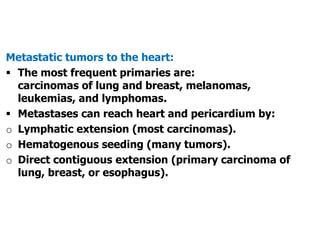 Metastatic tumors to the heart:
 The most frequent primaries are:
carcinomas of lung and breast, melanomas,
leukemias, and lymphomas.
 Metastases can reach heart and pericardium by:
o Lymphatic extension (most carcinomas).
o Hematogenous seeding (many tumors).
o Direct contiguous extension (primary carcinoma of
lung, breast, or esophagus).
 