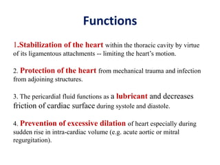 Functions
1.Stabilization of the heart within the thoracic cavity by virtue
of its ligamentous attachments -- limiting the heart’s motion.
2. Protection of the heart from mechanical trauma and infection
from adjoining structures.
3. The pericardial fluid functions as a lubricant and decreases
friction of cardiac surface during systole and diastole.
4. Prevention of excessive dilation of heart especially during
sudden rise in intra-cardiac volume (e.g. acute aortic or mitral
regurgitation).
 