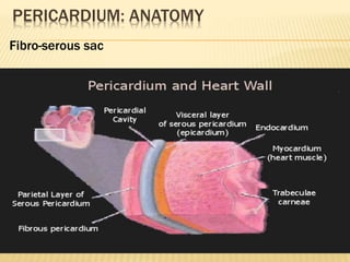 PERICARDIUM: ANATOMY
Fibro-serous sac
 