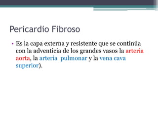 Pericardio Fibroso
• Es la capa externa y resistente que se continúa
con la adventicia de los grandes vasos la arteria
aorta, la arteria pulmonar y la vena cava
superior).

 