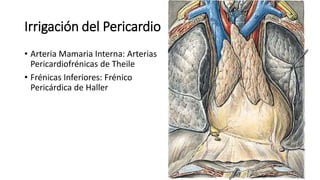 Irrigación del Pericardio
• Arteria Mamaria Interna: Arterias
Pericardiofrénicas de Theile
• Frénicas Inferiores: Frénico
Pericárdica de Haller