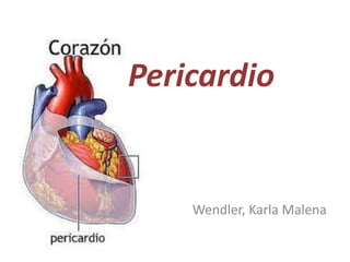 Pericardio
Wendler, Karla Malena
 
