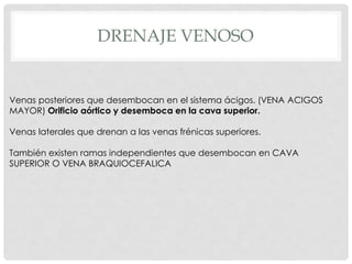 DRENAJE VENOSO


Venas posteriores que desembocan en el sistema ácigos. (VENA ACIGOS
MAYOR) Orificio aórtico y desemboca en la cava superior.

Venas laterales que drenan a las venas frénicas superiores.

También existen ramas independientes que desembocan en CAVA
SUPERIOR O VENA BRAQUIOCEFALICA
 