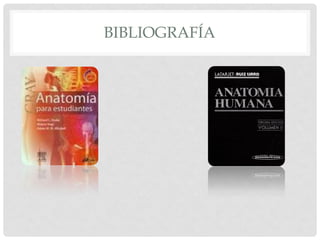 BIBLIOGRAFÍA
 