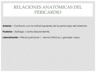 RELACIONES ANATÓMICAS DEL
                PERICARDIO


Anterior - Contacto con la mitad izquierda de la parte baja del esternón.

Posterior - Esófago / aorta descendente.

Lateralmente – Pleura pulmonar / nervios frénicos / grandes vasos.
 