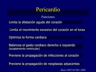 Pericardio
                             Funciones
Limita la dilatación aguda del corazón

Limita el movimiento excesivo del corazón en el torax

Optimiza la forma cardiaca

Balancea el gasto cardiaco derecho e izquierdo
(acoplamiento ventricular)

Previene la propagación de infecciones al corazón

Previene la propagación de neoplasias adyacentes
                                         Heart 2007;93:993–1000
 