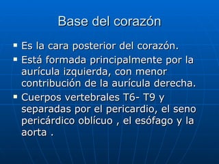 Base del corazón Es la cara posterior del corazón. Está formada principalmente por la aurícula izquierda, con menor contribución de la aurícula derecha. Cuerpos vertebrales T6- T9 y separadas por el pericardio, el seno pericárdico oblícuo , el esófago y la aorta .  