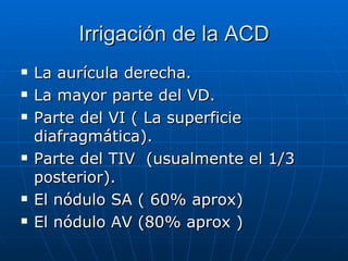 Irrigación de la ACD La aurícula derecha. La mayor parte del VD. Parte del VI ( La superficie diafragmática). Parte del TIV  (usualmente el 1/3 posterior). El nódulo SA ( 60% aprox) El nódulo AV (80% aprox ) 