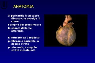 ANATOMIA
Il pericardio è un sacco
fibroso che avvolge il
cuore,
l’origine dei grossi vasi e
lo sbocco delle vv.
afferenti.
E’ formato da 2 foglietti:
p. fibroso o parietale, a
doppio strato
p. viscerale, a singolo
strato mesoteliale
 