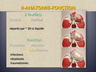 II-ANATOMIE-FONCTION
2 feuillets
Viscéral Pariétal
séparés par ~ 20 cc liquide
Fonction
Protection Maintien
Lubrification
infections
néoplasies
traumatismes
 