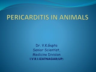 Dr. V.K.Gupta
Senior Scientist,
Medicine Division
I.V.R.I.IZATNAGAR(UP)
 