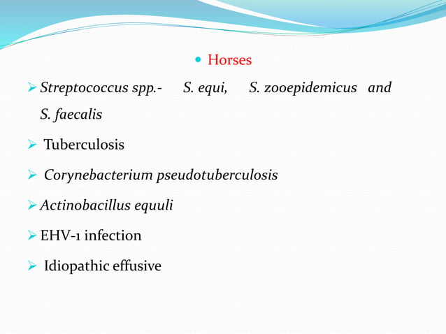 Pericarditis in animals | PPT