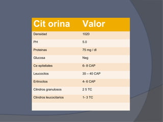 Cit orina                Valor
Densidad                 1020

PH                       5.0

Proteinas                75 mg / dl

Glucosa                  Neg

Ce epiteliales           6- 8 CAP

Leucocitos               35 – 40 CAP

Eritrocitos              4- 6 CAP

Cilndros granulosos      2 5 TC

Clindros leucocitarios   1- 3 TC
 