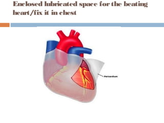 Enclosed lubricated space forthe beating
heart/fix it in chest
 