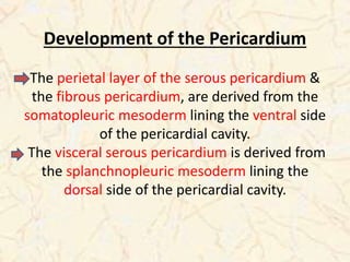Pericardium | PPTX