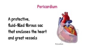 Pericardium.pptx