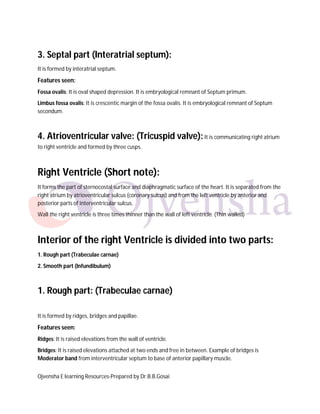 3. Septal part (Interatrial septum):
It is formed by interatrial septum.

Features seen:
Fossa ovalis: It is oval shaped depression. It is embryological remnant of Septum primum.
Limbus fossa ovalis: It is crescentic margin of the fossa ovalis. It is embryological remnant of Septum
secondum.

4. Atrioventricular valve: (Tricuspid valve): It is communicating right atrium
to right ventricle and formed by three cusps.

Right Ventricle (Short note):
It forms the part of sternocostal surface and diaphragmatic surface of the heart. It is separated from the
right atrium by atrioventricular sulcus (coronary sulcus) and from the left ventricle by anterior and
posterior parts of interventricular sulcus.
Wall the right ventricle is three times thinner than the wall of left ventricle. (Thin walled)

Interior of the right Ventricle is divided into two parts:
1. Rough part (Trabeculae carnae)
2. Smooth part (Infundibulum)

1. Rough part: (Trabeculae carnae)
It is formed by ridges, bridges and papillae.

Features seen:
Ridges: It is raised elevations from the wall of ventricle.
Bridges: It is raised elevations attached at two ends and free in between. Example of bridges is
Moderator band from interventricular septum to base of anterior papillary muscle.
Ojvensha E learning Resources-Prepared by Dr.B.B.Gosai

 