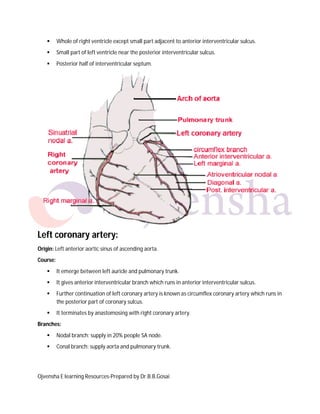 

Whole of right ventricle except small part adjacent to anterior interventricular sulcus.



Small part of left ventricle near the posterior interventricular sulcus.



Posterior half of interventricular septum.

Left coronary artery:
Origin: Left anterior aortic sinus of ascending aorta.
Course:


It emerge between left auricle and pulmonary trunk.



It gives anterior interventricular branch which runs in anterior interventricular sulcus.



Further continuation of left coronary artery is known as circumflex coronary artery which runs in
the posterior part of coronary sulcus.



It terminates by anastomosing with right coronary artery.

Branches:


Nodal branch: supply in 20% people SA node.



Conal branch: supply aorta and pulmonary trunk.

Ojvensha E learning Resources-Prepared by Dr.B.B.Gosai

 