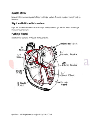 Bundle of His:
Located in the membranous part of interventricular septum. Transmit impulses from AV node to
ventricles.

Right and left bundle branches:
Right and left branches of bundle of his respectively enter the right and left ventricles through
interventricular septum

Purkinje fibers:
Final terminal branches in the wall of the ventricles.

Ojvensha E learning Resources-Prepared by Dr.B.B.Gosai

 