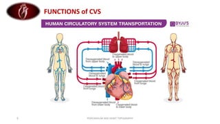 PERICARDIUM AND HEART TOPOGRAPHY
5
FUNCTIONS of CVS
 