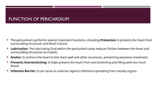 pericardium nd conducting system of heart - Copy.pptx