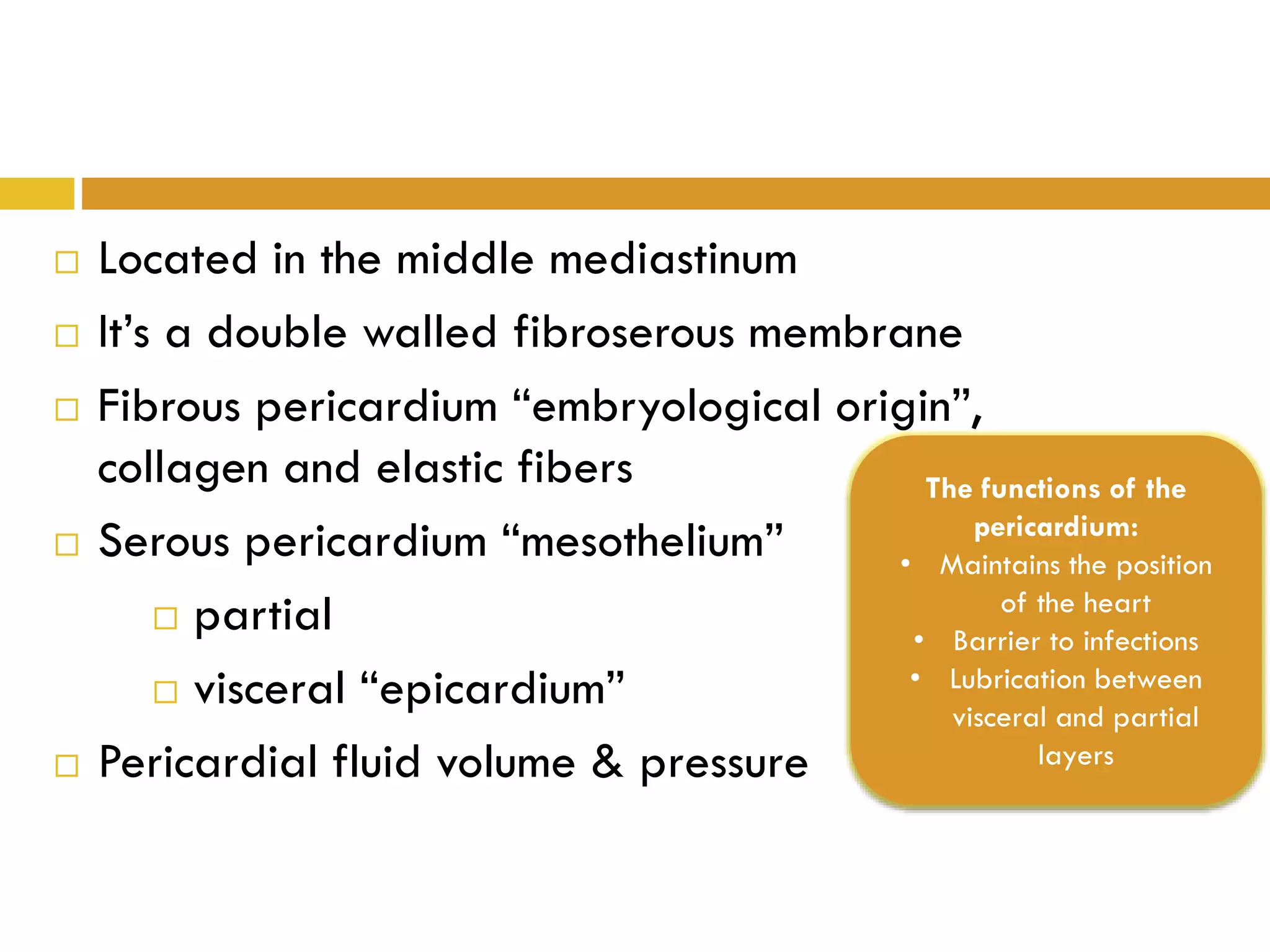  Located in the middle mediastinum
It’s a double walled fibroserous membrane
Fibrous pericardium “embryological origin”,
collagen and elastic fibers
Serous pericardium “mesothelium”
partial
visceral “epicardium”
Pericardial fluid volume & pressure
The functions of the
pericardium:
• Maintains the position
of the heart
• Barrier to infections
• Lubrication between
visceral and partial
layers
