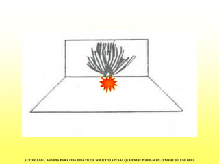 AUTORIZADA A CÓPIA PARA FINS DIDÁTICOS. SOLICITO APENAS QUE ENVIE POR E-MAIL O NOME DO USUÁRIO.  