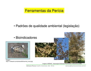 Ferramentas da Perícia



               • Padrões de qualidade ambiental (legislação)


               • Bioindicadores




Imagem:
http://i1.trekearth.com/photos/6004/animal_morto.jpg
                                                               Imagens: MOINHO - Associação Ambiental, Patrimonial e Cultural de Lordelo

                                       Adriana Ponce Coelho Cerântola, Adv. M.Sc.                        adriana@santoscerantola.com.br
 