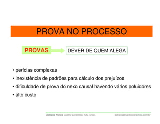 PROVA NO PROCESSO

      PROVAS                     DEVER DE QUEM ALEGA


• perícias complexas
• inexistência de padrões para cálculo dos prejuízos
• dificuldade de prova do nexo causal havendo vários poluidores
• alto custo


               Adriana Ponce Coelho Cerântola, Adv. M.Sc.   adriana@santoscerantola.com.br
 