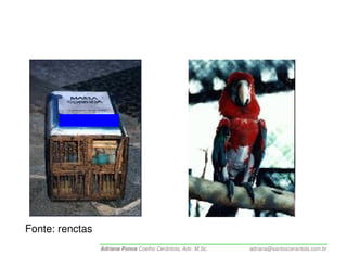 Fonte: renctas
                 Adriana Ponce Coelho Cerântola, Adv. M.Sc.   adriana@santoscerantola.com.br
 