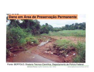 Dano em Área de Preservação Permanente




Fonte: BERTOLO, Diretoria Técnico-Científica, Departamento de Polícia Federal
                    Adriana Ponce Coelho Cerântola, Adv. M.Sc.   adriana@santoscerantola.com.br
 