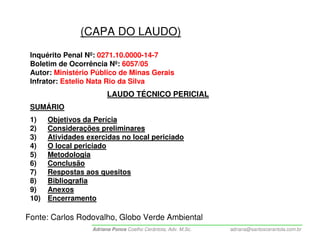 (CAPA DO LAUDO)
 Inquérito Penal Nº: 0271.10.0000-14-7
 Boletim de Ocorrência Nº: 6057/05
 Autor: Ministério Público de Minas Gerais
 Infrator: Estelio Nata Rio da Silva
                         LAUDO TÉCNICO PERICIAL
 SUMÁRIO
 1)    Objetivos da Perícia
 2)    Considerações preliminares
 3)    Atividades exercidas no local periciado
 4)    O local periciado
 5)    Metodologia
 6)    Conclusão
 7)    Respostas aos quesitos
 8)    Bibliografia
 9)    Anexos
 10)   Encerramento

Fonte: Carlos Rodovalho, Globo Verde Ambiental
                   Adriana Ponce Coelho Cerântola, Adv. M.Sc.   adriana@santoscerantola.com.br
 