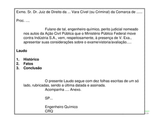 Exmo. Sr. Dr. Juiz de Direito da ... Vara Cível (ou Criminal) da Comarca de ......

Proc. ....

                   Fulano de tal, engenheiro químico, perito judicial nomeado
     nos autos da Ação Civil Pública que o Ministério Público Federal move
     contra Indústria S.A., vem, respeitosamente, à presença de V. Exa.,
     apresentar suas considerações sobre o exame/vistoria/avaliação.....

Laudo

1.   Histórico
2.   Fatos
3.   Conclusão


                   O presente Laudo segue com dez folhas escritas de um só
     lado, rubricadas, sendo a última datada e assinada.
                   Acompanha .... Anexo.

                  SP...

                  Engenheiro Químico
                  CRQ Ponce Coelho Cerântola, Adv. M.Sc.
                  Adriana                                      adriana@santoscerantola.com.br
 