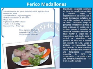 Perico Medallones




                    14
 