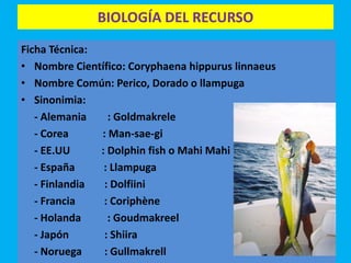 Perico mahi mahi final cm | PPT