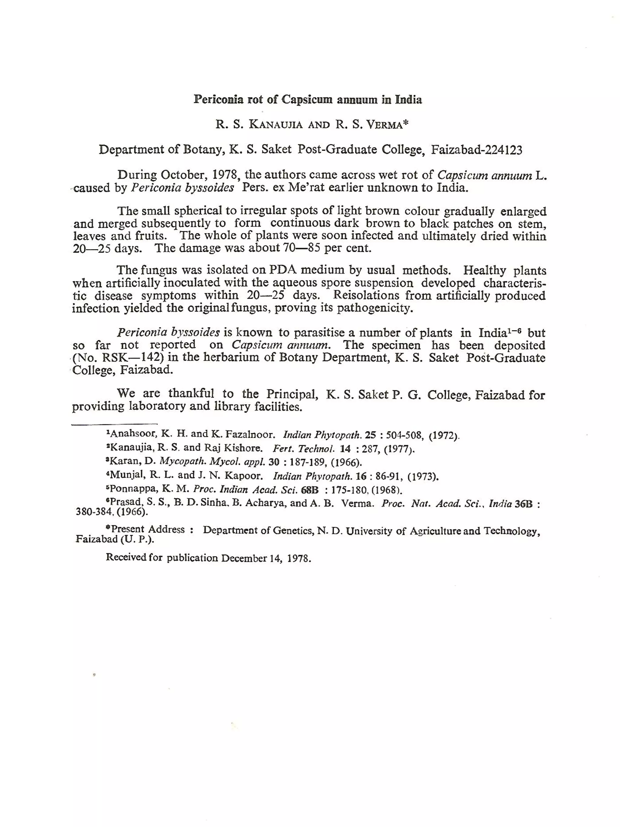 Periconia rot of capsicum annum in india