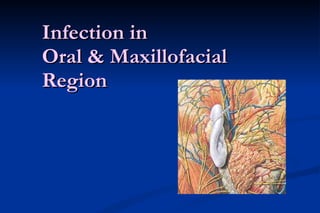 Infection in Oral & Maxillofacial Region 