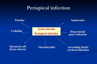 Periapical infection Acute-chronic Periapical infection Fistular Cellulitis Intraoral soft tissue abscess Osteomyelitis Septicemia Deep fascial space infection Ascending facial-cerebral infection 