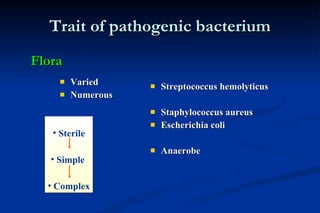 Trait of pathogenic bacterium Varied Numerous Streptococcus hemolyticus Staphylococcus aureus Escherichia coli Anaerobe Sterile Simple  Complex Flora 