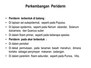 power point materi jaringan periderm pada tumbuhan | PPTX