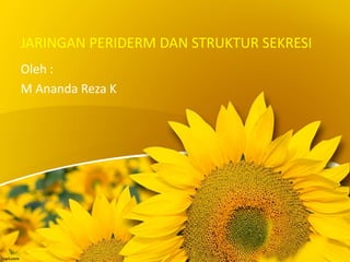 JARINGAN PERIDERM DAN STRUKTUR SEKRESI
Oleh :
M Ananda Reza K
 