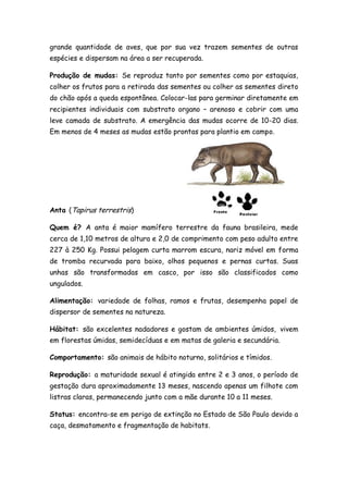 grande quantidade de aves, que por sua vez trazem sementes de outras
espécies e dispersam na área a ser recuperada.

Produção de mudas: Se reproduz tanto por sementes como por estaquias,
colher os frutos para a retirada das sementes ou colher as sementes direto
do chão após a queda espontânea. Colocar-las para germinar diretamente em
recipientes individuais com substrato organo – arenoso e cobrir com uma
leve camada de substrato. A emergência das mudas ocorre de 10-20 dias.
Em menos de 4 meses as mudas estão prontas para plantio em campo.




Anta (Tapirus terrestris)

Quem é? A anta é maior mamífero terrestre da fauna brasileira, mede
cerca de 1,10 metros de altura e 2,0 de comprimento com peso adulto entre
227 à 250 Kg. Possui pelagem curta marrom escura, nariz móvel em forma
de tromba recurvada para baixo, olhos pequenos e pernas curtas. Suas
unhas são transformadas em casco, por isso são classificados como
ungulados.

Alimentação: variedade de folhas, ramos e frutas, desempenha papel de
dispersor de sementes na natureza.

Hábitat: são excelentes nadadores e gostam de ambientes úmidos, vivem
em florestas úmidas, semidecíduas e em matas de galeria e secundária.

Comportamento: são animais de hábito noturno, solitários e tímidos.

Reprodução: a maturidade sexual é atingida entre 2 e 3 anos, o período de
gestação dura aproximadamente 13 meses, nascendo apenas um filhote com
listras claras, permanecendo junto com a mãe durante 10 a 11 meses.

Status: encontra-se em perigo de extinção no Estado de São Paulo devido a
caça, desmatamento e fragmentação de habitats.
 