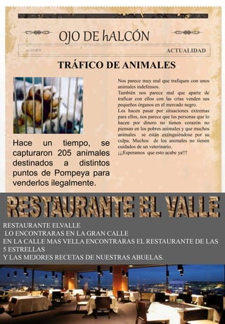 TRÁFICO DE ANIMALES
OJO DE hALCÓN
ACTUALIDAD
Hace un tiempo, se
capturaron 205 animales
destinados a distintos
puntos de Pompeya para
venderlos ilegalmente.
Nos parece muy mal que trafiquen con unos
animales indefensos.
También nos parece mal que aparte de
traficar con ellos con las crías venden sus
pequeños órganos en el mercado negro.
Los hacen pasar por situaciones extremas
para ellos, nos parece que las personas que lo
hacen por dinero no tienen corazón no
piensan en los pobres animales y que muchos
animales se están extinguiéndose por su
culpa. Muchos de los animales no tienen
cuidados de un veterinario.
¡¡¡Esperamos que esto acabe ya!!!
RESTAURANTE ELVALLE
LO ENCONTRARAS EN LA GRAN CALLE
EN LA CALLE MAS VELLA ENCONTRARAS EL RESTAURANTE DE LAS
5 ESTRELLAS
Y LAS MEJORES RECETAS DE NUESTRAS ABUELAS.
 