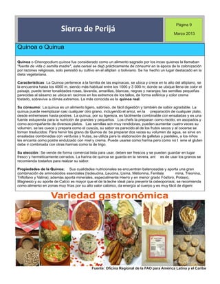 Periódico institucional primer trimeste 2013