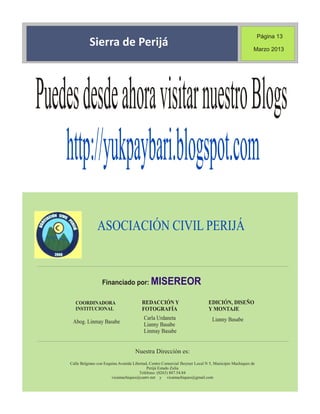 Periódico institucional primer trimeste 2013