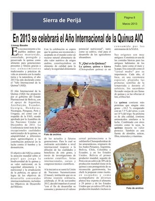 Periódico institucional primer trimeste 2013