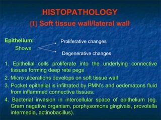 HISTOPATHOLOGY
[I] Soft tissue wall/lateral wall
Epithelium:
Shows
1. Epithelial cells proliferate into the underlying connective
tissues forming deep rete pegs
2. Micro ulcerations develops on soft tissue wall
3. Pocket epithelial is infiltrated by PMN’s and oedematons fluid
from inflammed connective tissues.
4. Bacterial invasion in intercellular space of epithelium (eg.
Gram negative organism, porphysomons gingivais, provotella
intermedia, actinobacillus).
Degenerative changes
Proliferative changes
 