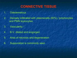 CONNECTIVE TISSUE
1. Odedematous
2. Densely infiltrated with plasmecells (80%), lymphocytes
and PMN leykocytes.
3. Vascularity 
4. B.V. dilated and engorged
5. Area of necrosis and degeneration
6. Suppuration is commonly seen
 